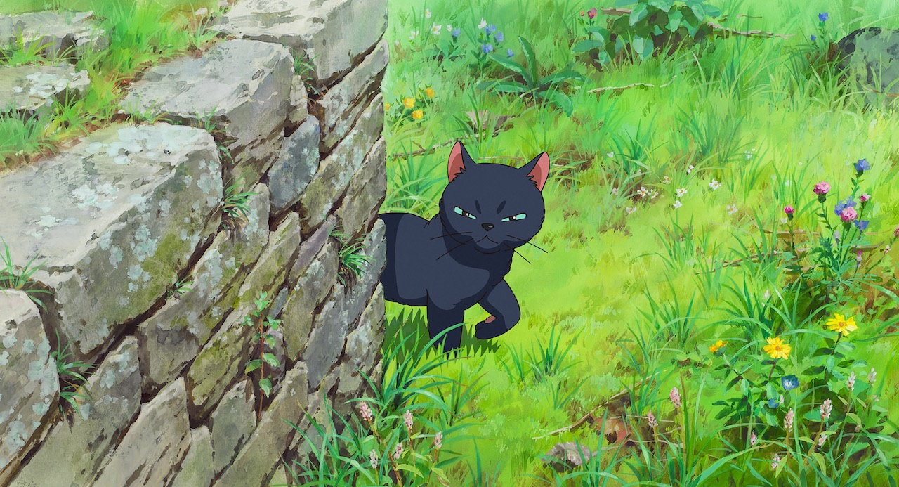 A black cat glares at the camera while standing next to a small stone wall in a grassy field.